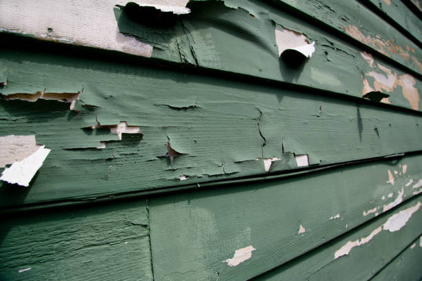Best Demolition Debris Removal  in Missoula, MT